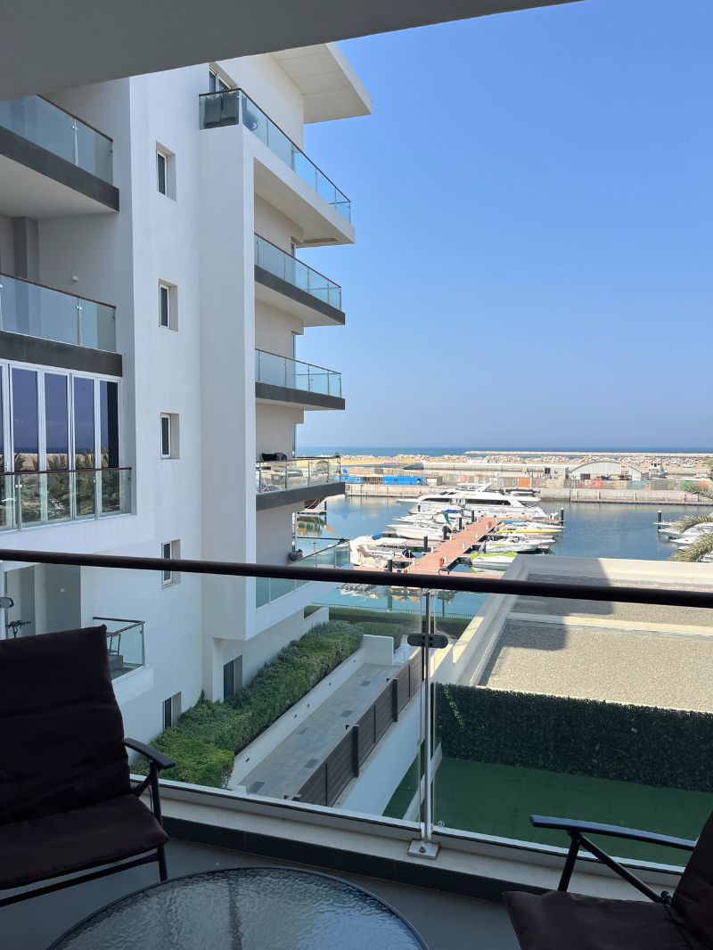 Untitled design - 2026-01-05T224939.011