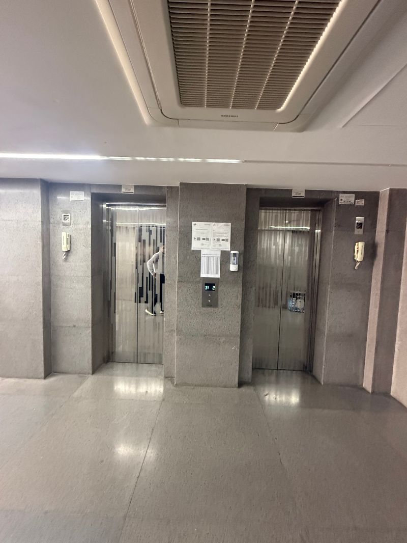 Untitled design (77)