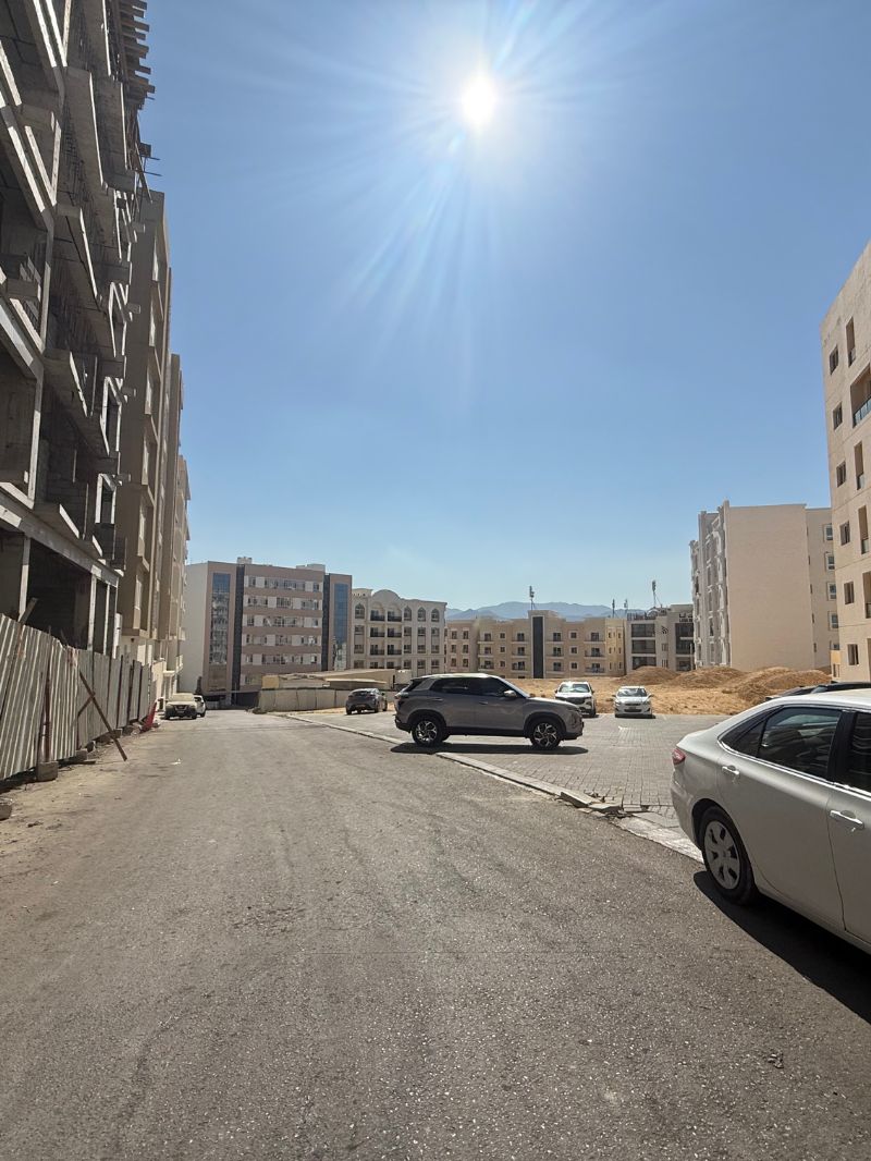 Untitled design (79)