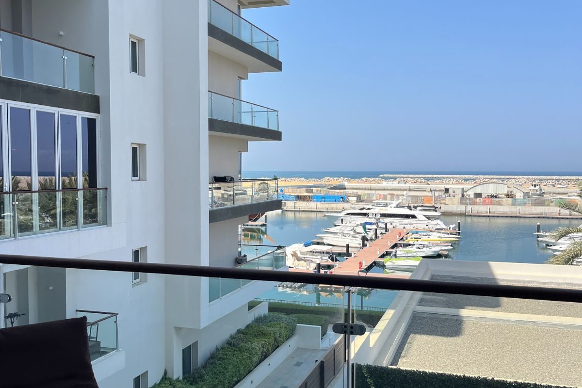 Untitled design - 2026-01-05T224901.016